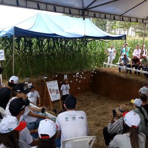 Alunos do 1º semestre do Curso de Bacharelado em Zootecnia participam do 7º Dia de Campo sobre  Sistemas Integrados de Produção Agropecuária realizado pela  EMBRAPA Agrossilvipastoril em Sinop-MT