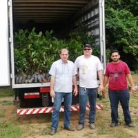 IFMT – Campus Avançado Guarantã do Norte recebe doação de cerca de 2.000 (duas mil) mudas de árvores nativas e frutíferas que irão viabilizar a implantação do PRAD(Plano de Recuperação de Áreas Degradadas) e arborização das vias de acesso ao Campus.