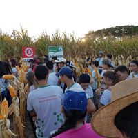 REALIZAÇÃO DO "I DIA DE CAMPO DO IFMT – CAMPUS AVANÇADO DE GUARANTÃ DO NORTE"