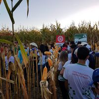 REALIZAÇÃO DO "I DIA DE CAMPO DO IFMT – CAMPUS AVANÇADO DE GUARANTÃ DO NORTE"